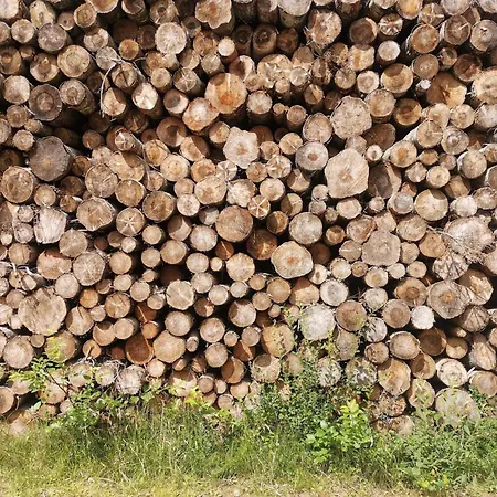 Cozy Island Retreat At Vestero-by Traum Læsø