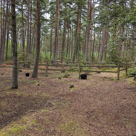 Cozy Island Retreat At Vestero-by Traum * Læsø